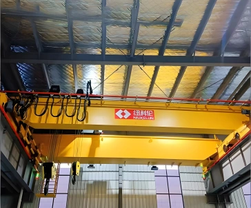 Double Girder Overhead Crane